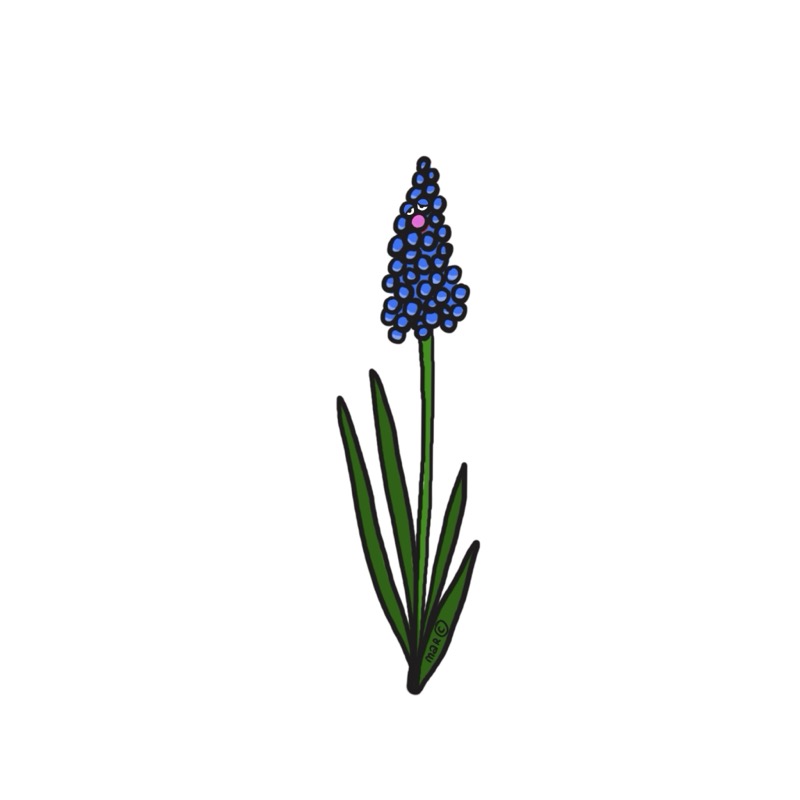 Handgetekende bloemenillustratie door Marretjes
